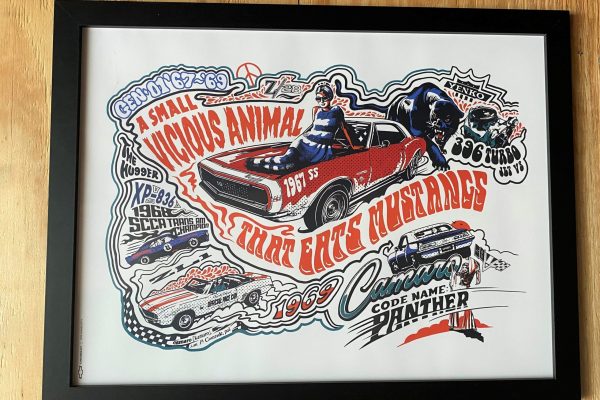 Camaro picture (3)